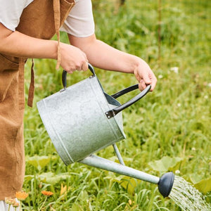 Vandekande i zink 9l