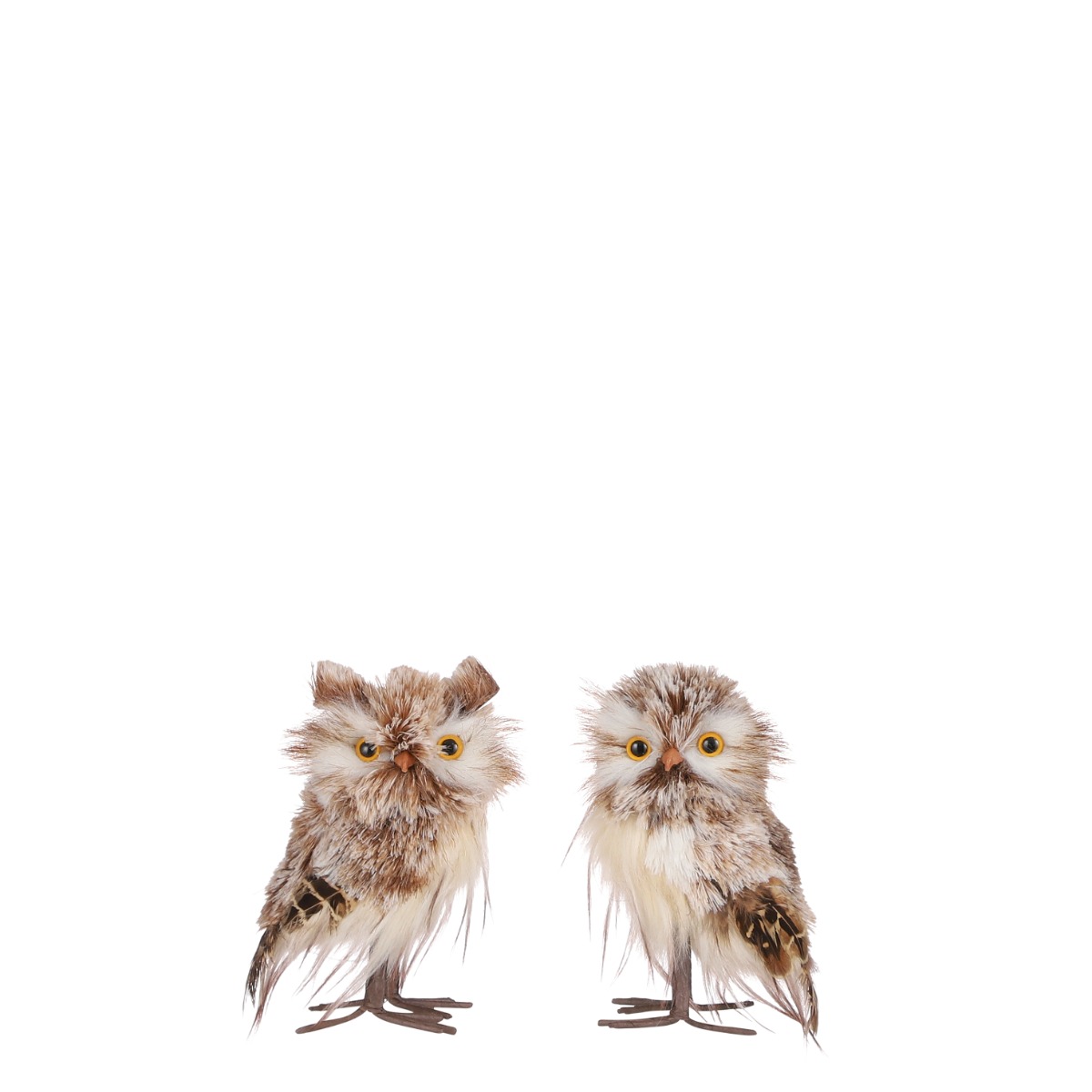 Billede af Brun og hvid ugle - Ugle med ører
