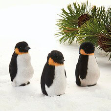 Billede af Pingvin - Midten