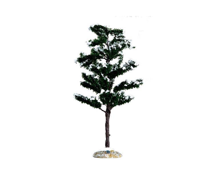 Conifer Tree Medium