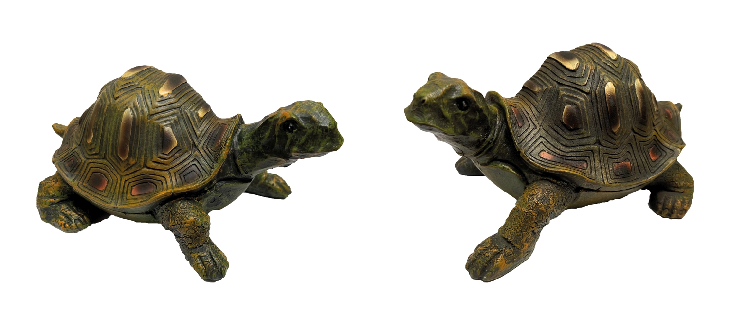 Billede af Skildpadde 18 cm lang