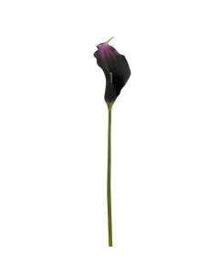 Calla blomsterstilk mørk lilla