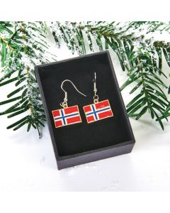 Øreringe med det norske flag
