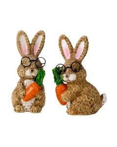 Hare med store briller og gulerod