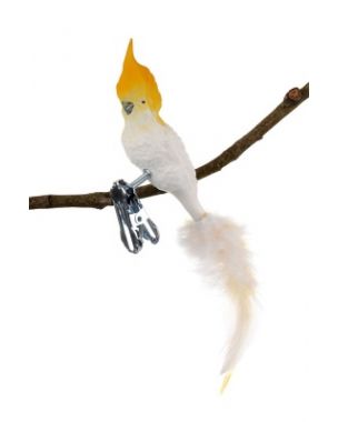 Cockatoo with clip
