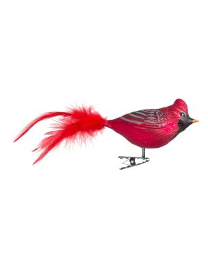 Red cardinal bird with clip