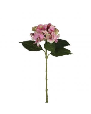 Hortensia rosa 51 cm høj