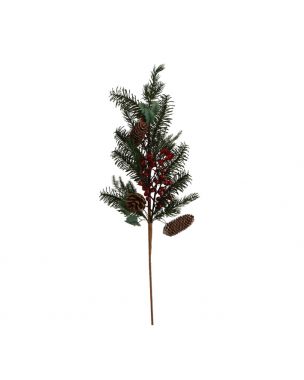 Fir branch with pine cones
