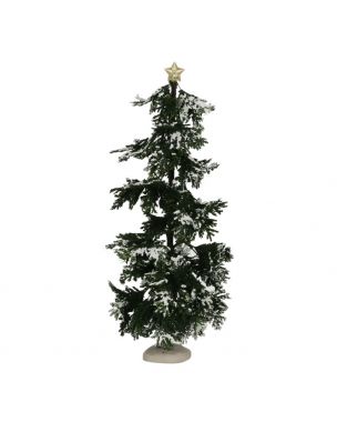 Luville Conifer large