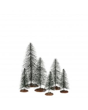 Skandinaviske nåletræer