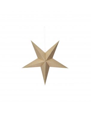 Gold colored Christmas star