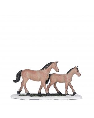 Hestefamilie