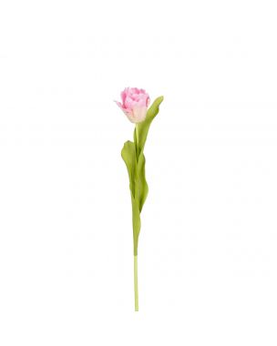 Tulipan 50 cm lang lyserød