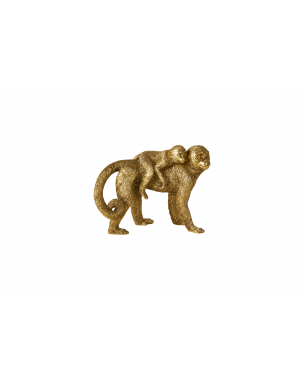 Guldfarvet abe med unge på ryg