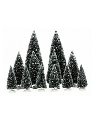 Evergreen tree assorted 12 pieces