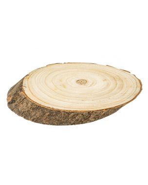 Small wooden disc with annual rings