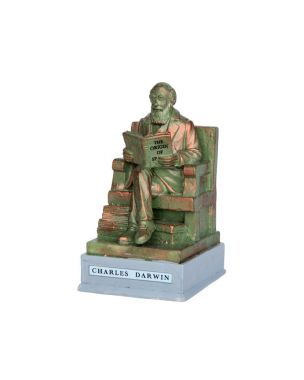 Park Statue - Charles Darwin