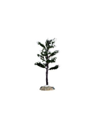 Conifer Tree - Small