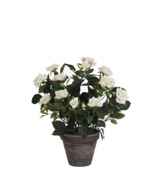 Rose hvid 33 cm høj