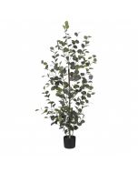 Eucalyptus kunstig 150 cm høj